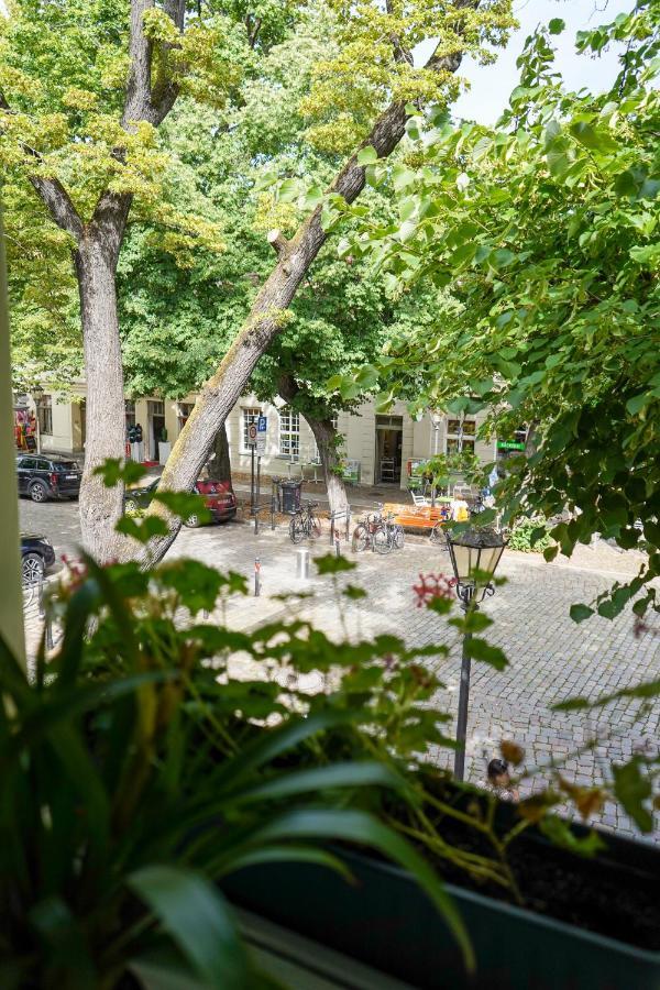 Cafe Alice & Pension Gmbh Потсдам Экстерьер фото